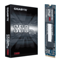 Gigabyte 256GB M.2 PCIe NVMe SSD